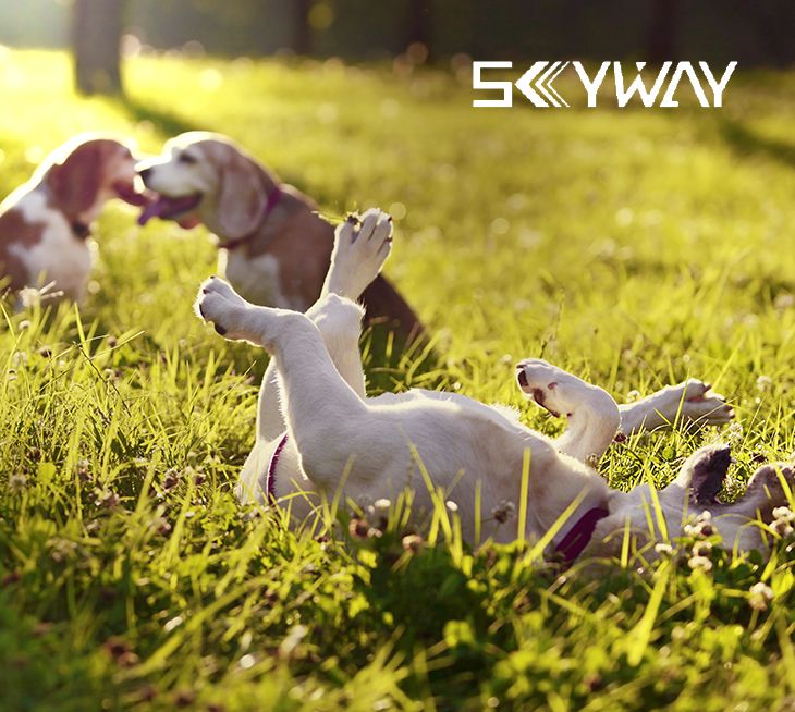 宁波天路进出口有限公司 宁波天路进出口有限公司