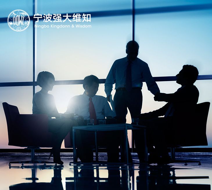 宁波强大维知知识产权 宁波强大维知知识产权